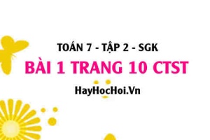 Bài 1 trang 10 Toán 7 Tập 2 Chân trời sáng tạo